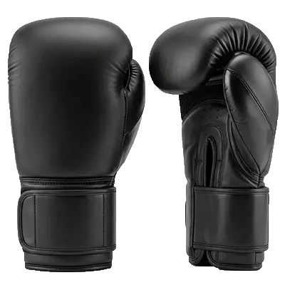 Full Black Boxing Gloves