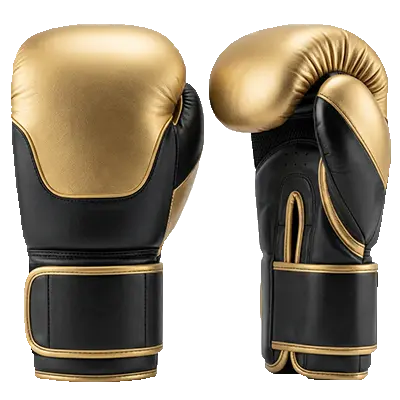 black and golden boxing gloves